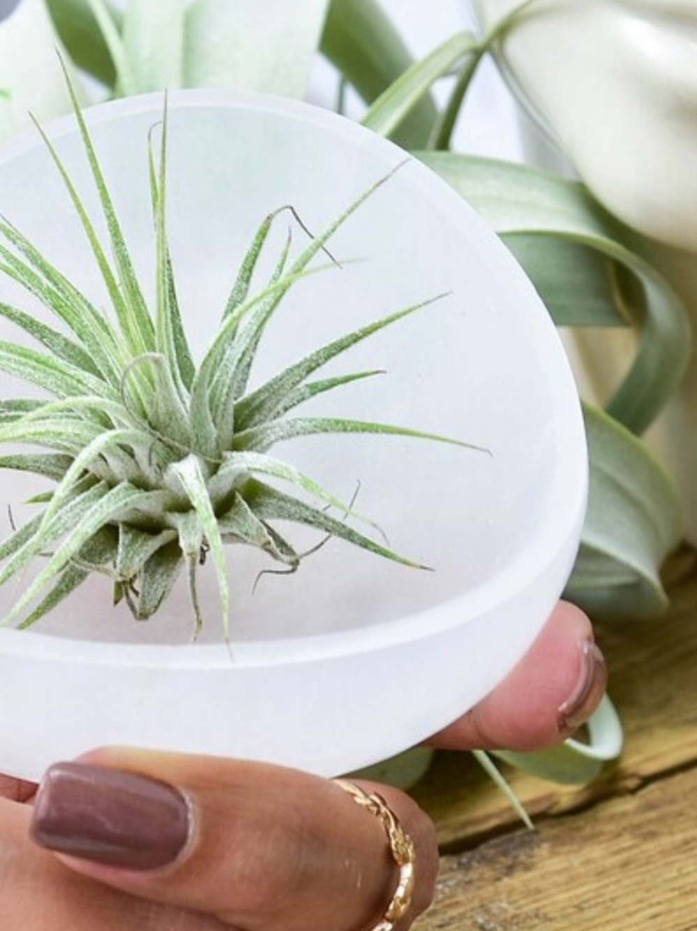 NWOT Selenite Charging Bowl: Crystal Cleansing, 4 inches